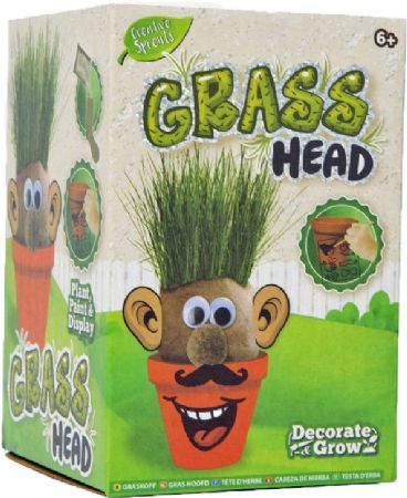 Creative Sprouts Grass Heads
